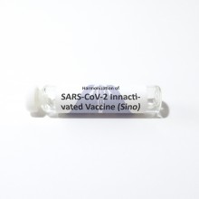 SARS-CoV-2 Innactivated Vaccine (Sino)